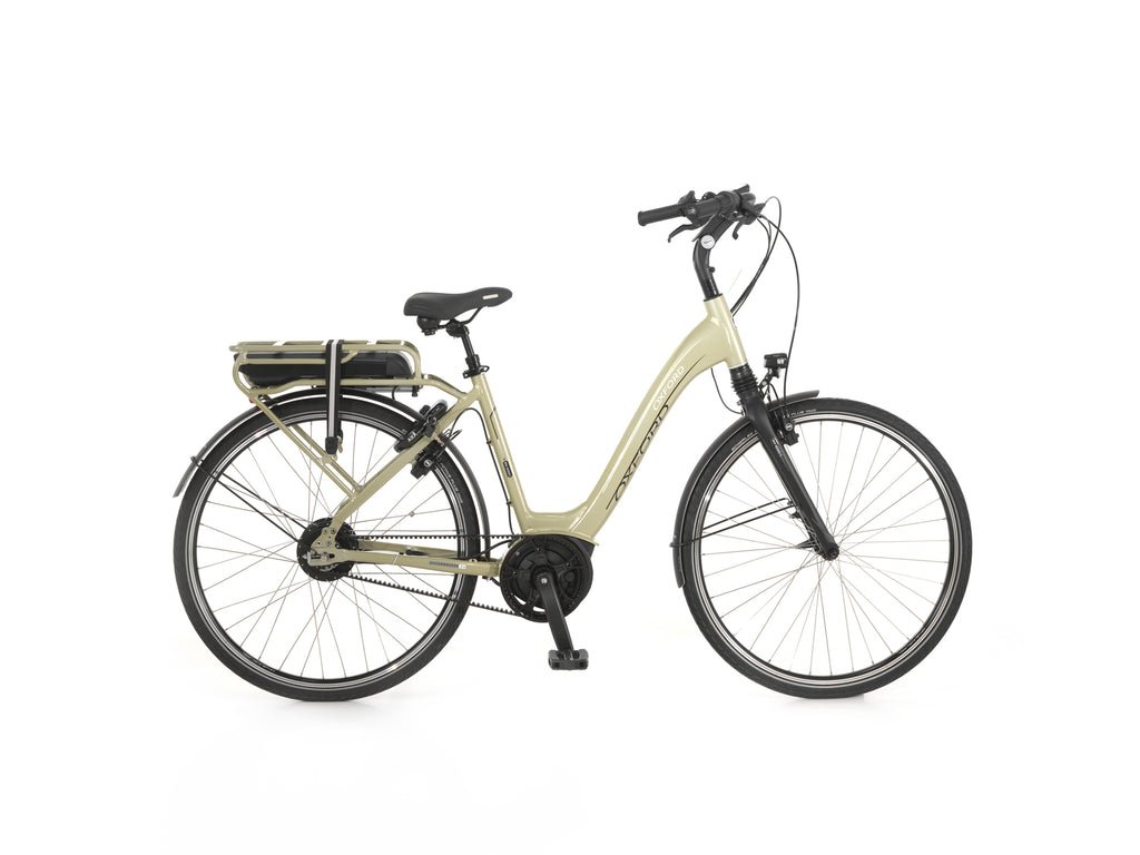 2021 BOX 11.0 ENVIOLO LADY 57 GOLDGREEN 